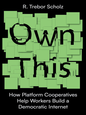 cover image of Own This!